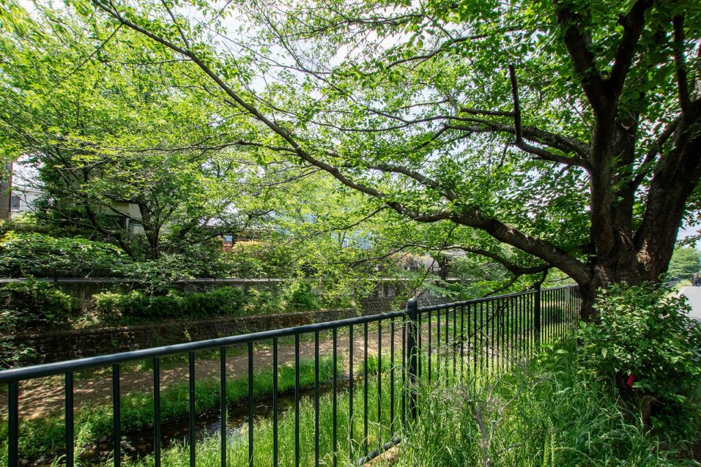 小金井市貫井南町4丁目売地 現地写真